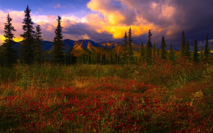 Parque Nacional Denali HD fondos de pantalla paisaje #12