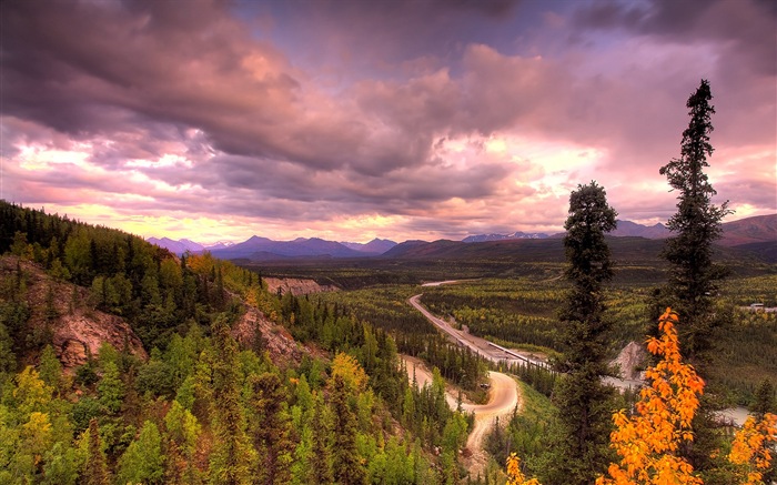 Denali National Park Landschaft HD Wallpaper #13