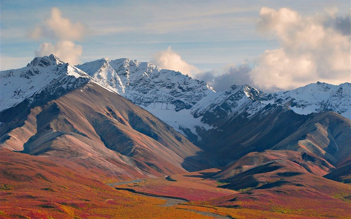 Denali National Park Landschaft HD Wallpaper #15