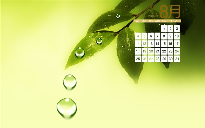 August 2013 Kalender Wallpaper (1) #15