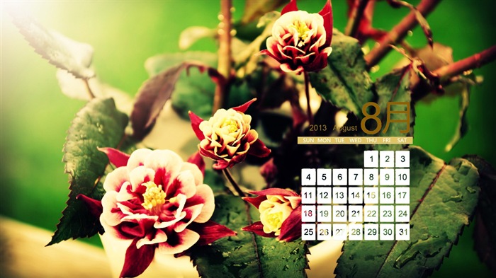 August 2013 Kalender Wallpaper (1) #18