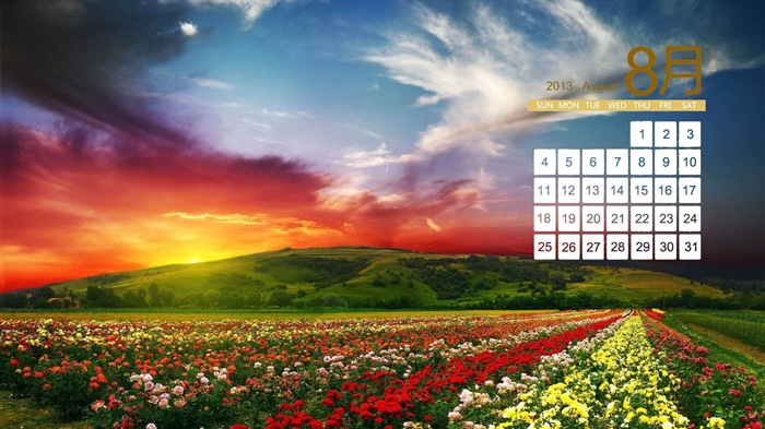 August 2013 calendar wallpaper (2) #18