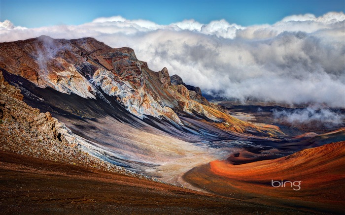 2013 Bing animaux officielles et fonds d'écran HD de paysage #1