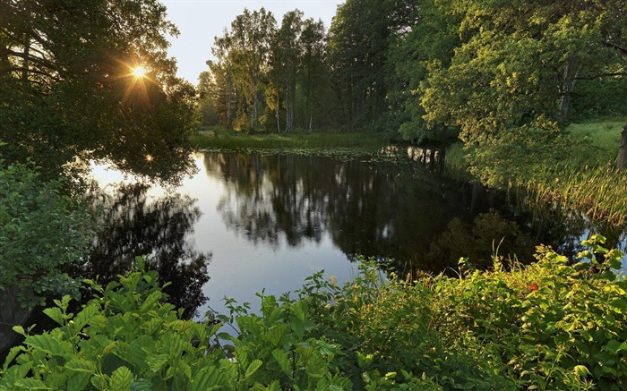 스웨덴 사계절 자연의 아름다움 HD 배경 화면 #3