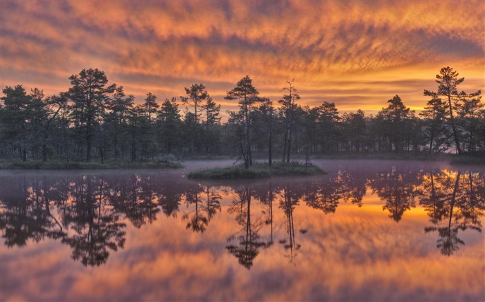 瑞典四季自然美景 高清壁纸11