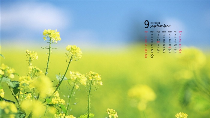 09 2013 Calendar fondo de pantalla (1) #4