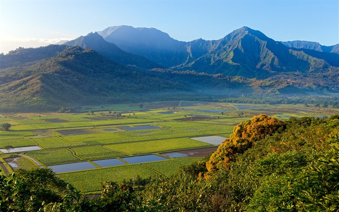 Windows 8 es el tema de fondo de pantalla: paisaje hawaiano #5