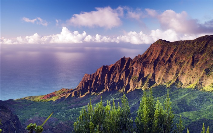 Windows 8 es el tema de fondo de pantalla: paisaje hawaiano #12