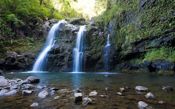 Windows 8 主题壁纸：夏威夷风景14