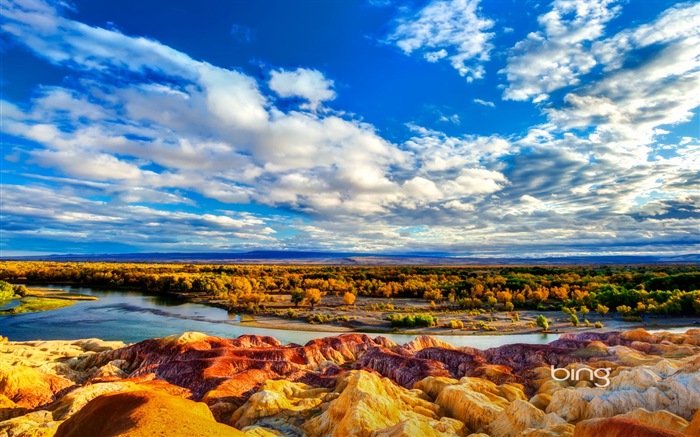 2013 Bing 必应秋季风景、动物、城市高清壁纸1