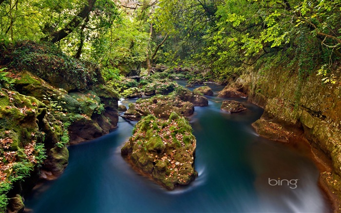 2013 Bing 必应秋季风景、动物、城市高清壁纸2