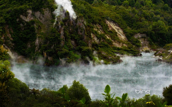 2013 Bing 必应秋季风景、动物、城市高清壁纸5