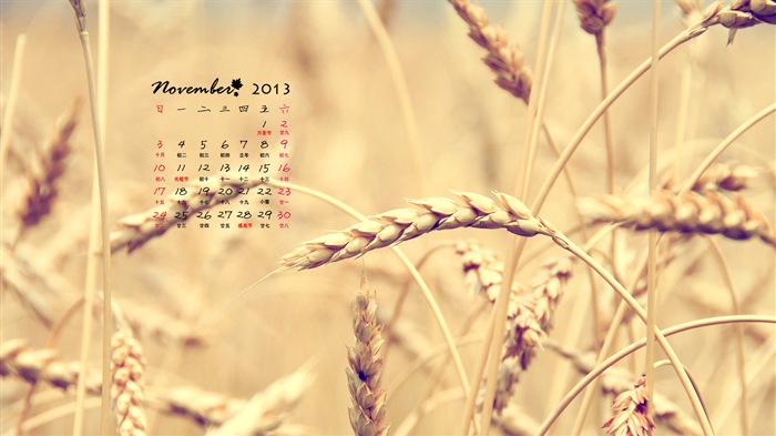 November 2013 Calendar wallpaper (1) #16