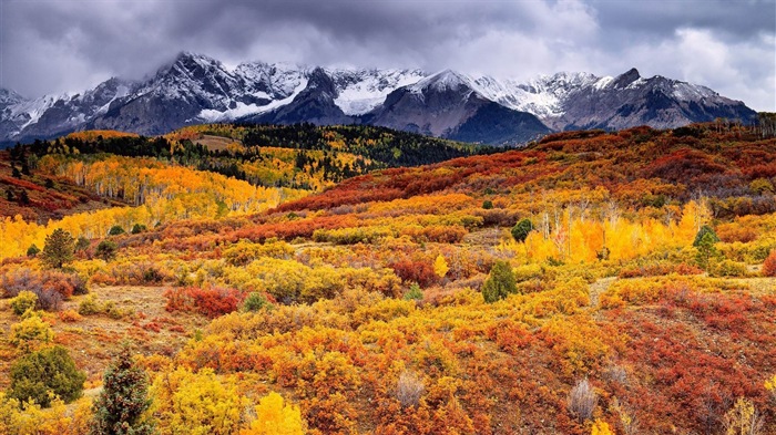 8.1 de Windows Theme HD wallpapers: hermosas hojas de otoño #7