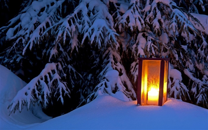 Windows 8 主題高清壁紙：冬季雪的夜景 #2