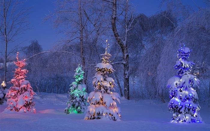 Windows 8 主题高清壁纸：冬季雪的夜景8