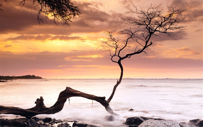 Windows 8 theme wallpaper: Beach sunrise and sunset views #5