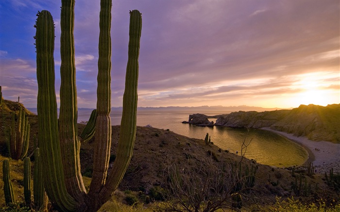 Windows 8 Theme Wallpaper: Strand Sonnenaufgang und den Sonnenuntergang #8