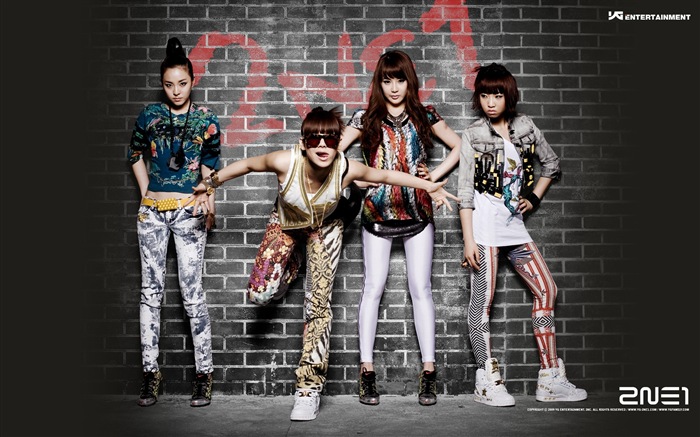 韓國音樂女孩組合 2NE1 高清壁紙 #1