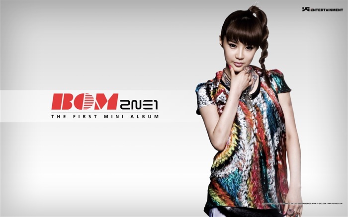 韓國音樂女孩組合 2NE1 高清壁紙 #2