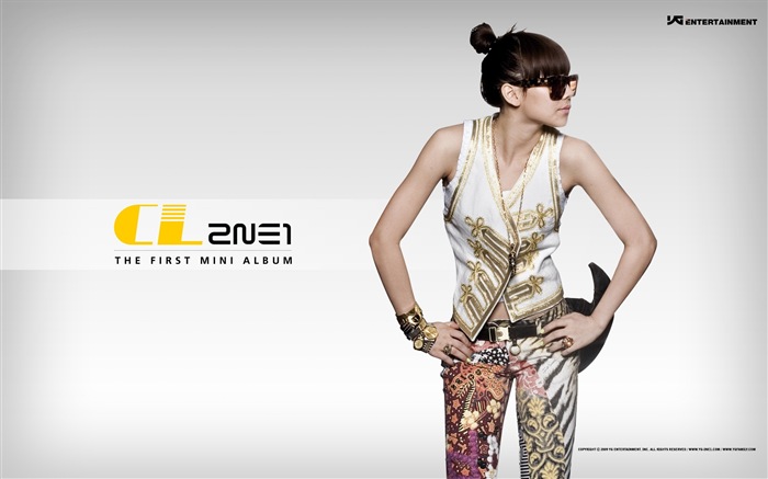 Korean music girls group 2NE1 HD wallpapers #3