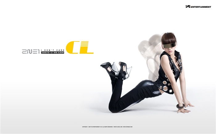 Korean music girls group 2NE1 HD wallpapers #7