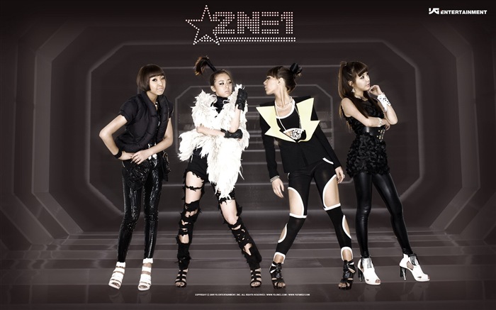 韩国音乐女孩组合 2NE1 高清壁纸11