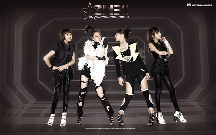 Korean music girls group 2NE1 HD wallpapers #11