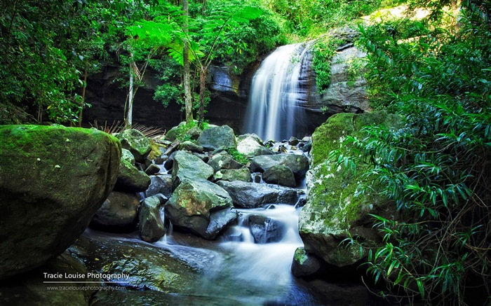 Queensland, Australia, hermosos paisajes, fondos de pantalla de Windows 8 tema de HD #9