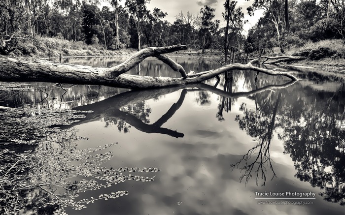 Queensland, Australie, de beaux paysages, fonds d'écran Windows 8 thème HD #11