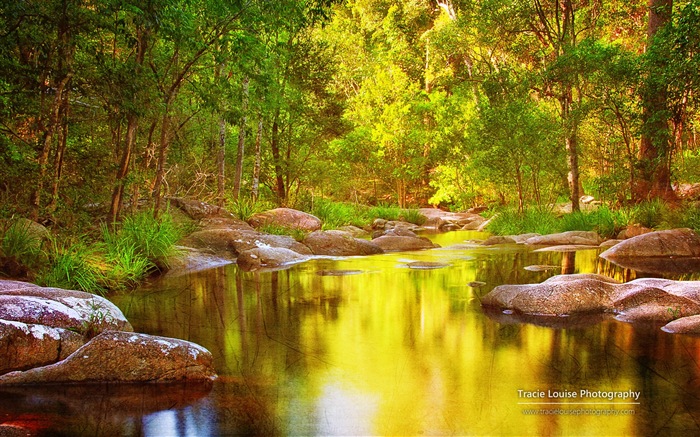 Квинсленд, Австралия, красивые пейзажи, Windows 8 тема HD обои #14