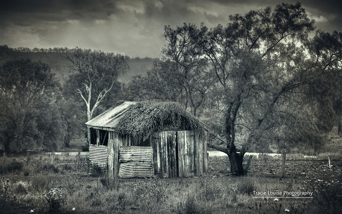 Queensland, Australie, de beaux paysages, fonds d'écran Windows 8 thème HD #19