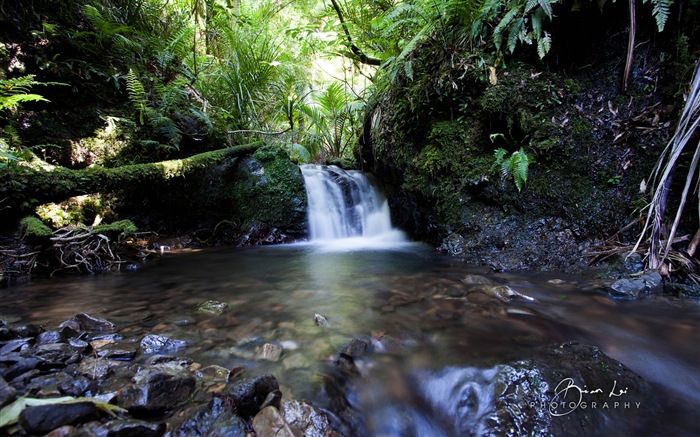 뉴질랜드 북섬의 아름다운 풍경, 윈도우 8 테마 배경 화면 #8