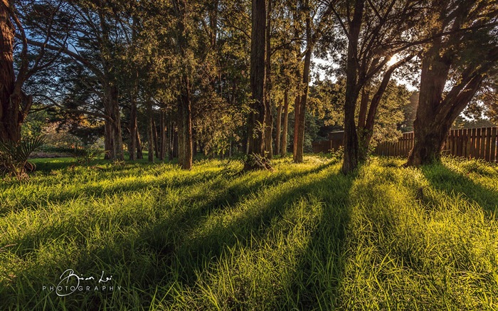 뉴질랜드 북섬의 아름다운 풍경, 윈도우 8 테마 배경 화면 #13