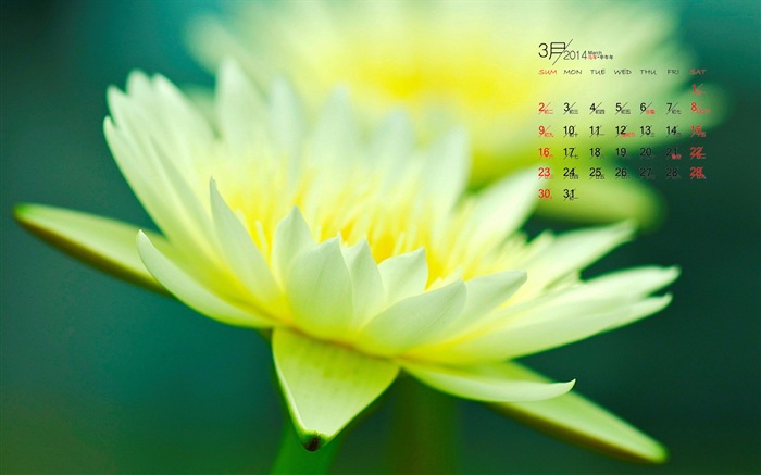 2014年3月 月历壁纸(一)6