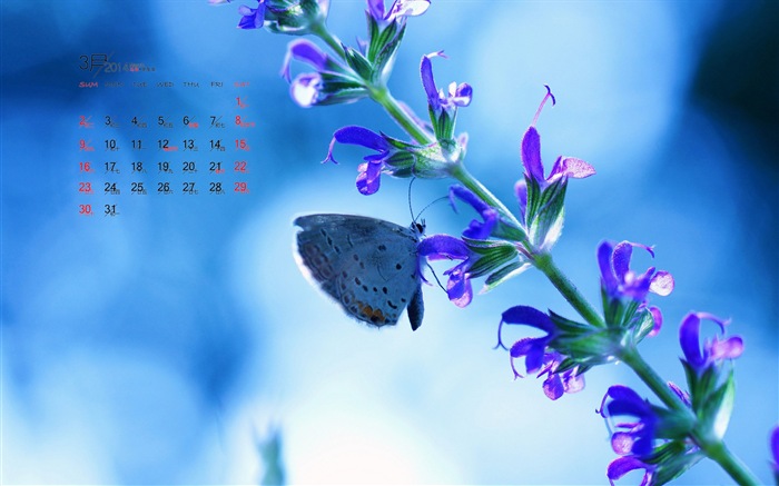 March 2014 calendar wallpaper (1) #9