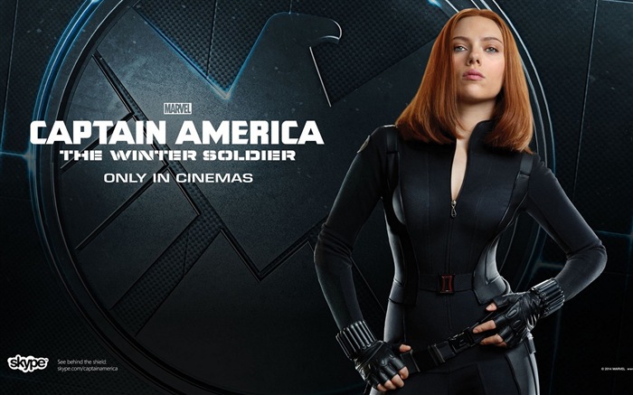 Captain America: The Winter Soldier 美國隊長2：冬日戰士高清壁紙 #10