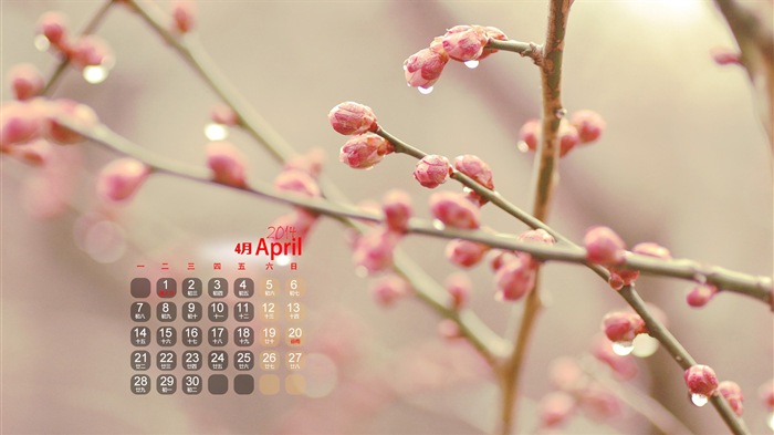 2014年4月 月历壁纸(一)3