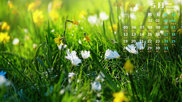 Mai 2014 Kalender Wallpaper (1) #8