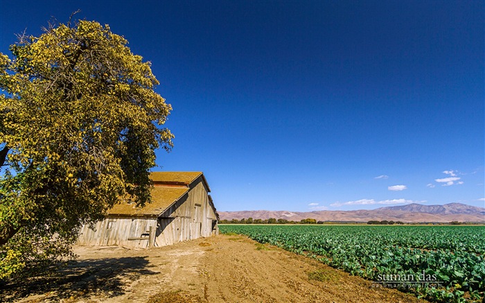 Californie paysages côtiers, Windows 8 fonds d'écran thématiques #4