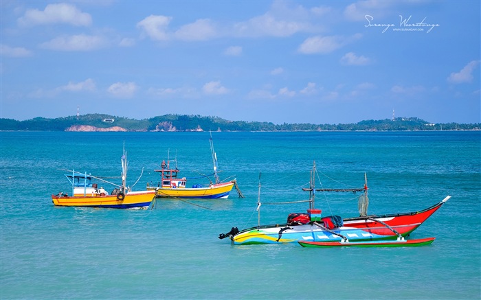 Estilo de paisaje Sri Lanka, Windows 8 tema fondos de pantalla #15