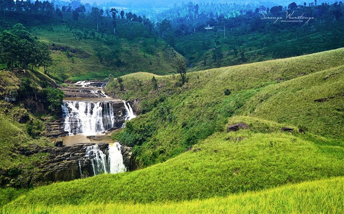 Sri Lanka style de paysage, Windows 8 fonds d'écran thématiques #17