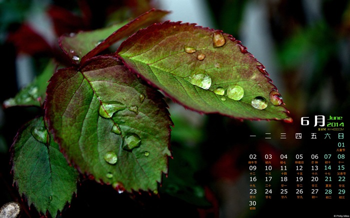 June 2014 calendar wallpaper (1) #5