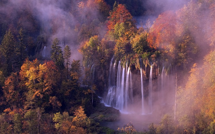 Hojas de otoño de niebla y los árboles fondos de pantalla de alta definición #11