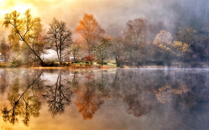 霧的秋天，紅葉樹木，高清壁紙 #15