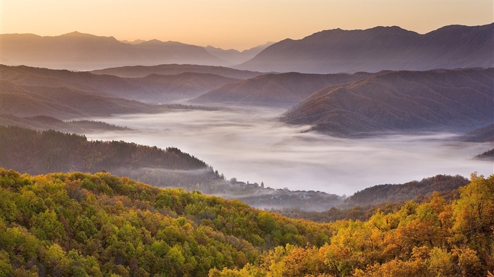 Hojas de otoño de niebla y los árboles fondos de pantalla de alta definición #16