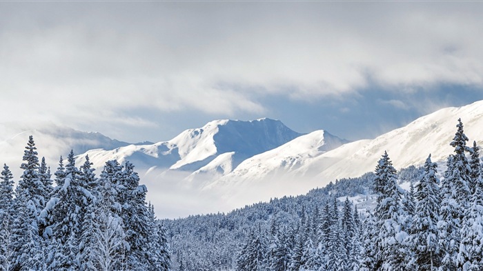 寒冷冬天美丽的雪景，Windows 8 全景宽屏壁纸9