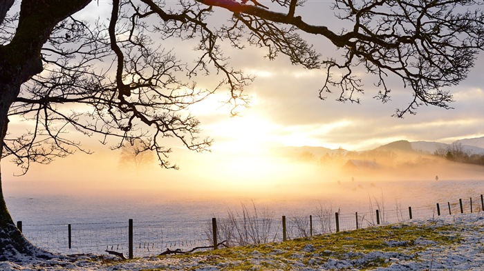 Belle neige froide d'hiver, de Windows 8 fonds d'écran widescreen panoramique #11