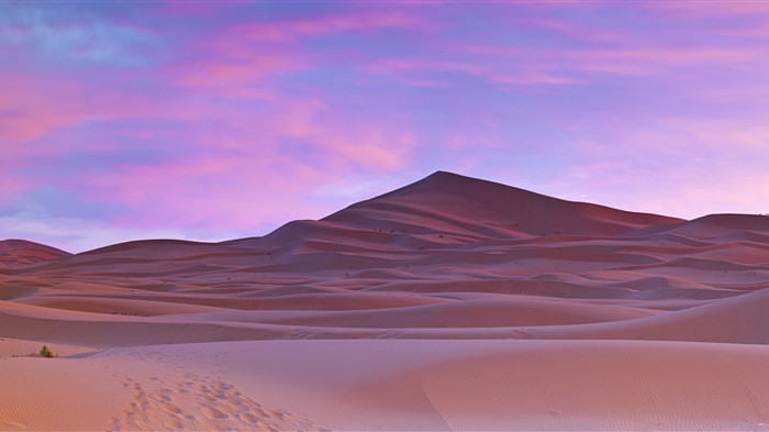 炎热干旱的沙漠，Windows 8 全景宽屏壁纸1