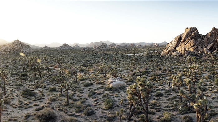 뜨겁고 건조한 사막, 윈도우 8 파노라마 와이드 스크린 배경 화면 #9